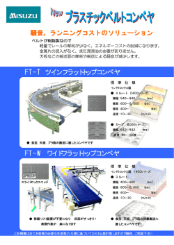 FT-T ツインフラットトップコンベヤ FT