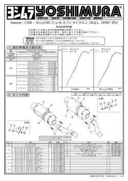 Kawasaki Z1000 / Ninja1000 Slip-On R