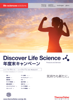 哺乳類細胞で組換えタンパク質を大量に発現