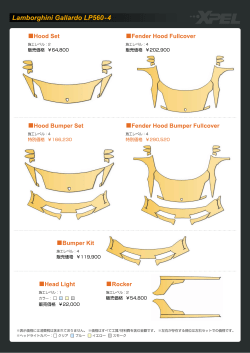 Lamborghini Gallardo LP560-4