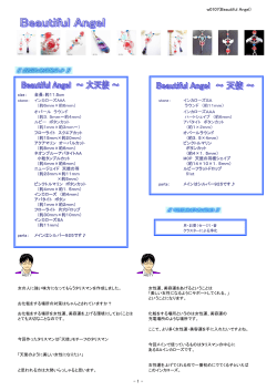 Beautiful Angel説明書