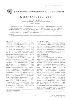 2．周辺プラズマシミュレーション