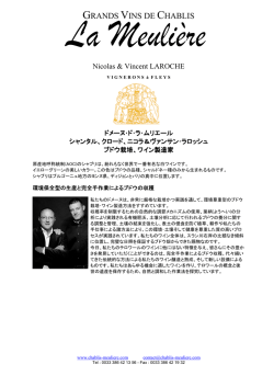 plaquette en japonais