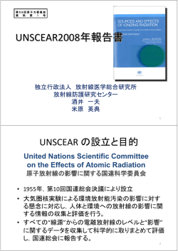 UNSCEAR2008年報告書（放射線医学総合研究所）