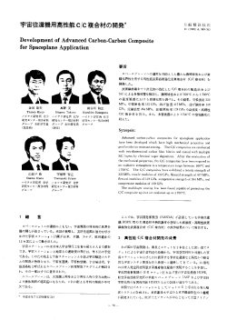 本文（PDF: 6P/314kb）