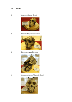 7.- 人類の進化 1 Aegyptopithecus Zeuxis 2 Sahelanthropus