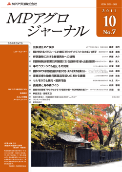 pdfファイル （9.6MB）