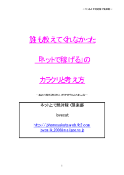誰も教えてくれなかった 「ネットで稼げる」の カラクリと考え方