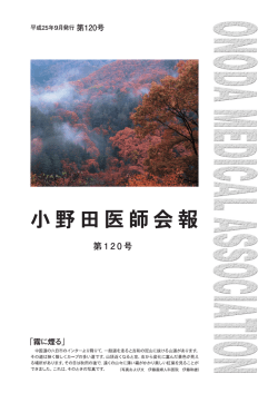 120（pdf）
