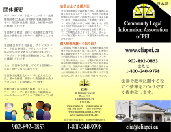 160201 Japanese CLIA brochure