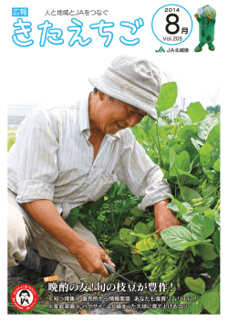 旬の枝豆が豊作！