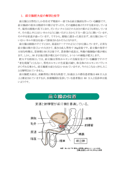 1. 前立腺肥大症の の解剖と疫学