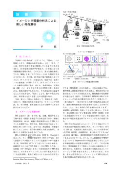 話 題 イメージング質量分析法による新しい局在解析 平 修 429