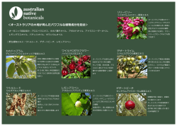 ＜オーストラリアの大地が育んだパワフルな植物成分を配合＞