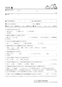 問診票 猫