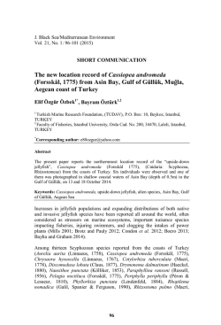 bmw エブロ bmw 1/18 スーパーGT 2015 x1 CALSONIC IMPUL e90