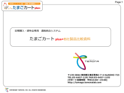 1.定期機能 - TEMONA