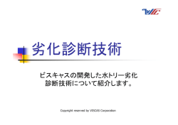 水トリー劣化診断技術