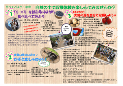 かぶとむしを探そう！