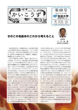 第 69 号