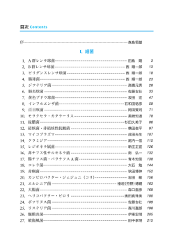 猫の発疹チフス