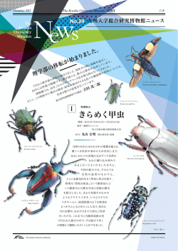 PDFをダウンロード - 九州大学総合研究博物館