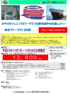 12，800 - 宮崎カーフェリー