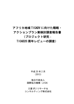 TICAD20周年レビュー - アフリカビジネス振興サポートネットワーク AB-NET