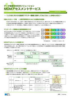MDMアセスメントサービス