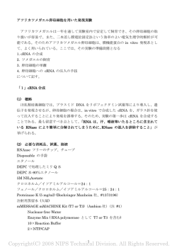 Copyright(C) 2008 NIPS Technical Division. All