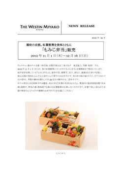 イメージはダミーです