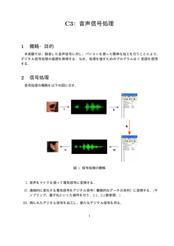 C3：音声信号処理