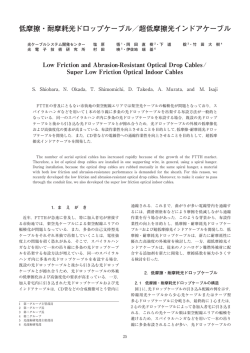 本文全体表示【PDF88KB】