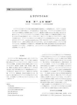 2. ラブドウイルス