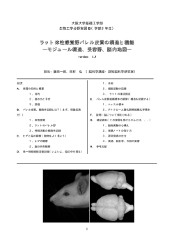 ラット体性感覚野バレル皮質の構造と機能 ーモジュール構造、受容野、脳