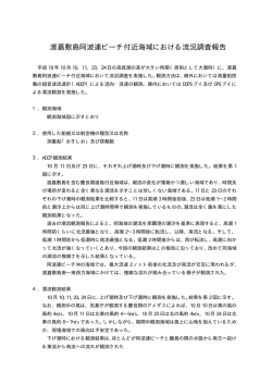 阿波連ビーチ付近（平成18年観測/PDFファイル477KB）