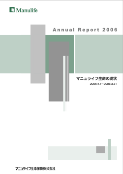 アニュアル・レポート 2006