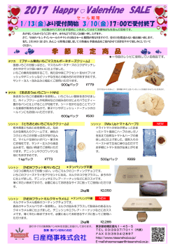 期間限定セールチラシ