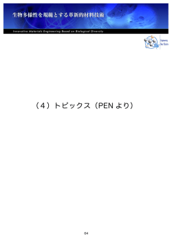 4章 - 生物多様性を規範とする革新的材料技術