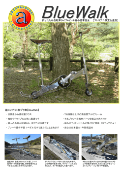 BlueWalkカタログ