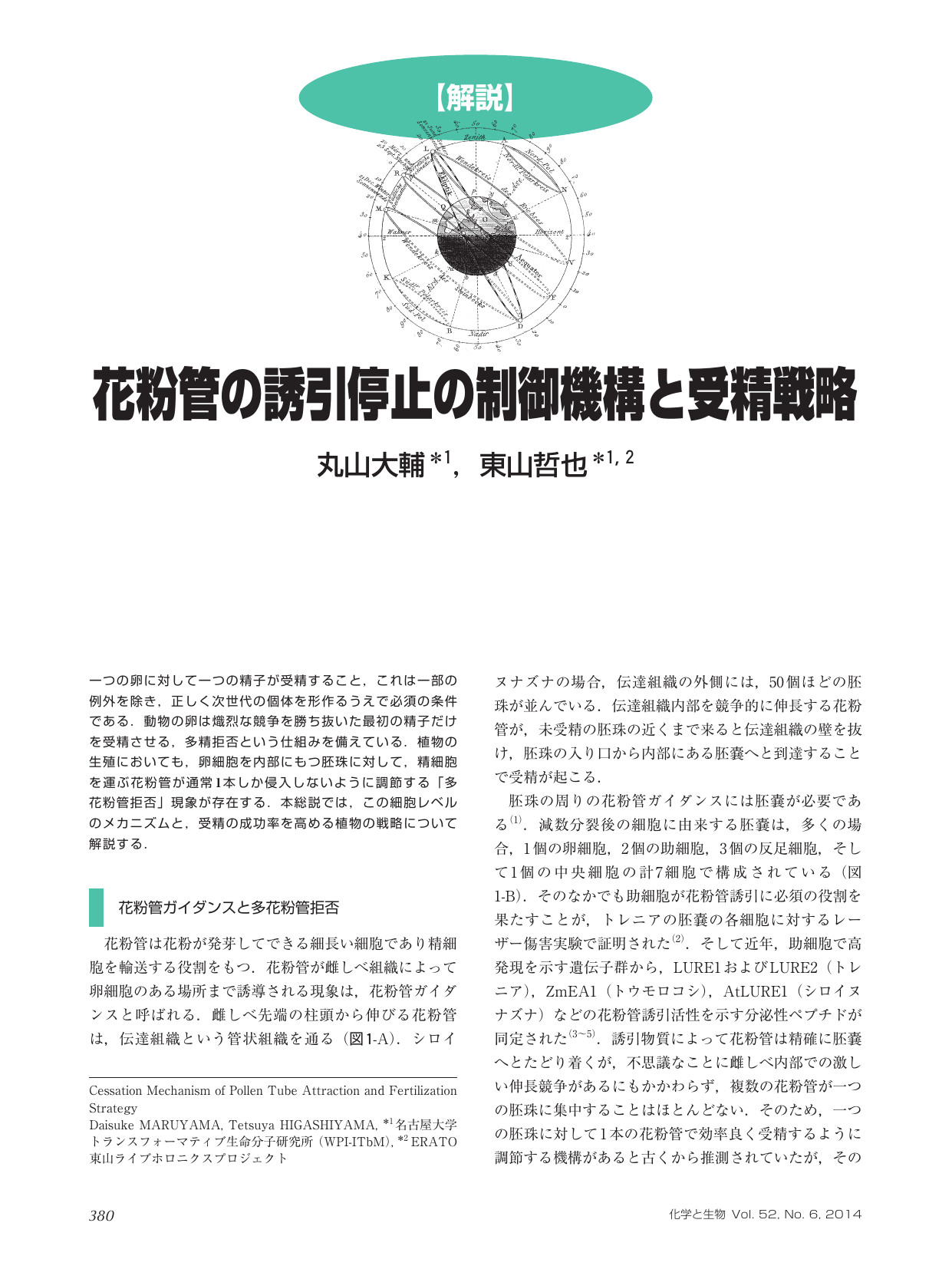 花粉管の誘引停止の制御機構と受精戦略