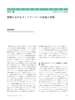 植物におけるオートファジーの意義と役割