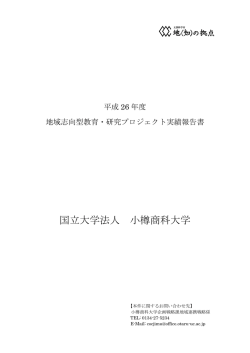 H26実績報告書PDF