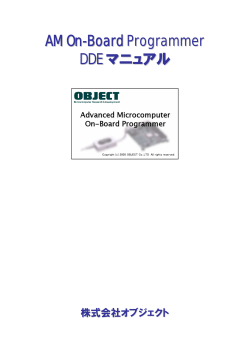 AM On-Board Programmer DDE マニュアル