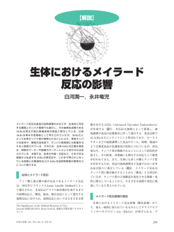 生体におけるメイラード 反応の影響 - 化学と生物