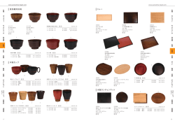 食洗機対応椀 木製カップ トレー 木製ランチョンマット