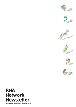 RNA - ノンコーディングRNAネオタクソノミ