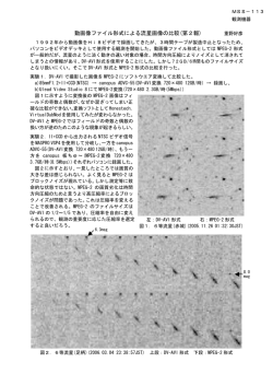 動画像ファイル形式による流星画像の比較(第2報)