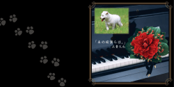 楽曲紹介