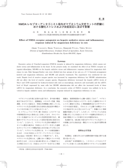 NMDA レセプターアンタゴニスト投与がマグネシウム欠乏ラットの肝臓に